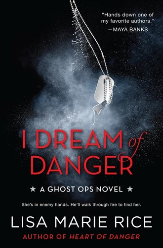I Dream of Danger: A Ghost Ops Novel (Ghost Ops Novels #2) book cover by Lisa Marie Rice
