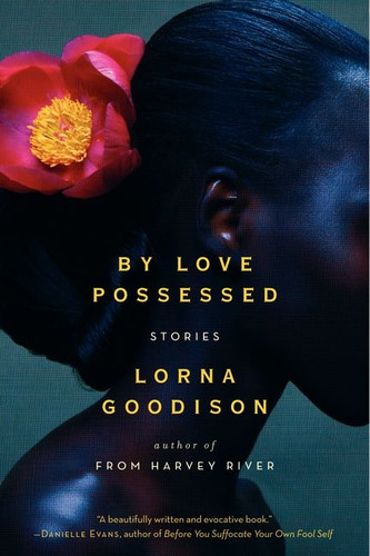 By Love Possessed: Stories book cover by Lorna Goodison