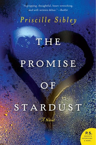 The Promise of Stardust: A Novel book cover by Priscille Sibley