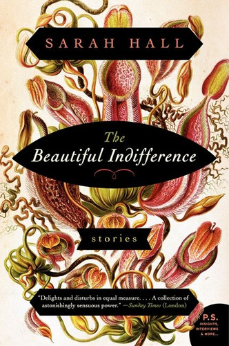 The Beautiful Indifference: Stories book cover by Sarah Hall