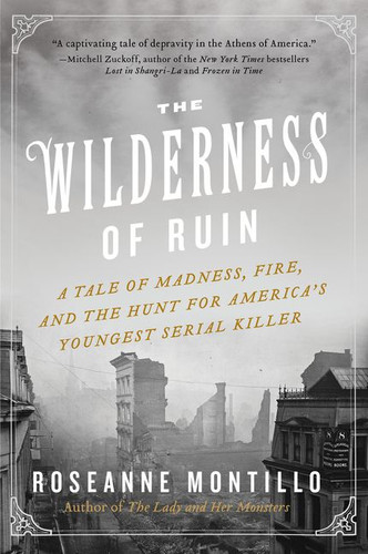 The Wilderness of Ruin: A Tale of Madness, Fire, and the Hunt for America's Youngest Serial Killer book cover by Roseanne Montillo