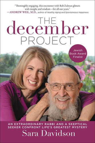 The December Project: An Extraordinary Rabbi and a Skeptical Seeker Confront Life's Greatest Mystery book cover by Sara Davidson