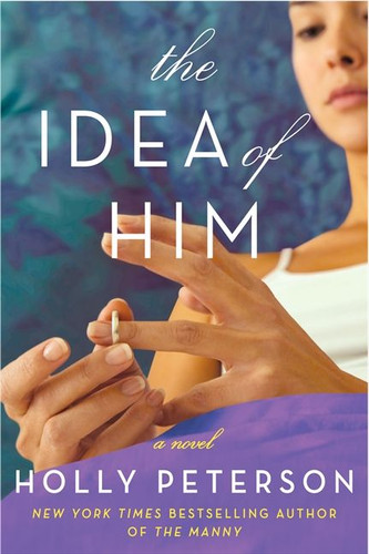 The Idea of Him: A Novel book cover by Holly Peterson