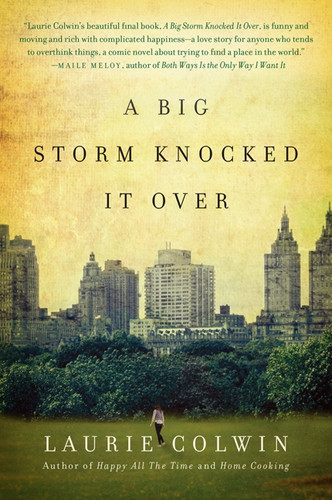 A Big Storm Knocked It Over: A Novel book cover by Laurie Colwin