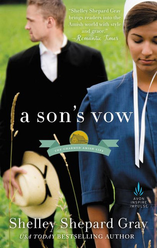 A Son's Vow: The Charmed Amish Life, Book One (Charmed Amish Life #1) book cover by Shelley Shepard Gray