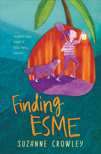 Finding Esme book cover by Suzanne Crowley