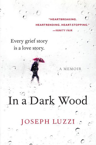 In a Dark Wood: A Memoir book cover by Joseph Luzzi