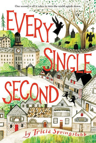 Every Single Second book cover by Tricia Springstubb