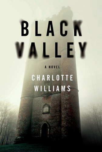 Black Valley: A Novel book cover by Charlotte Williams