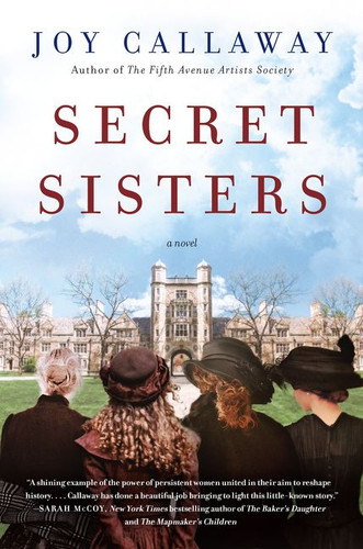 Secret Sisters: A Novel book cover by Joy Callaway