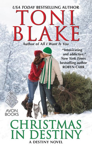 Christmas in Destiny: A Destiny Novel (Destiny) book cover by Toni Blake