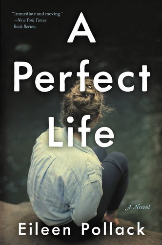 A Perfect Life: A Novel book cover by Eileen Pollack