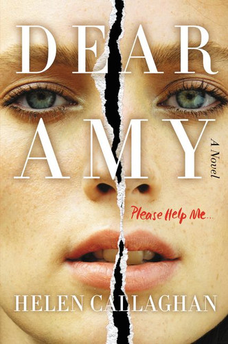 Dear Amy: A Novel book cover by Helen Callaghan