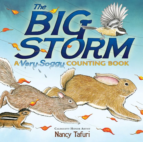 The Big Storm: A Very Soggy Counting Book book cover by Nancy Tafuri
