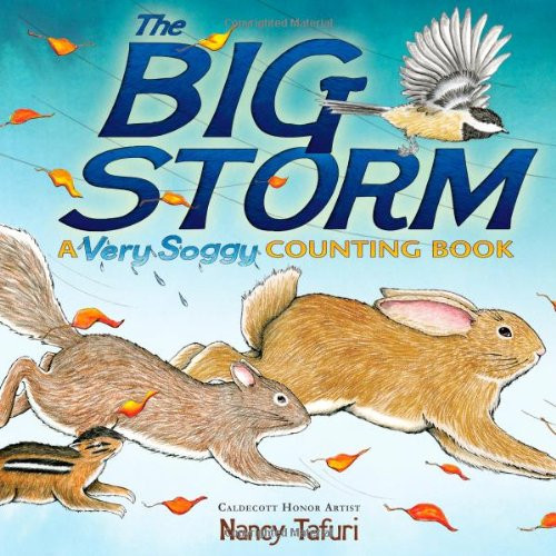 The Big Storm cover