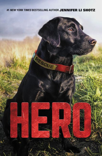 Hero (Hero #1) book cover by Jennifer Li Shotz