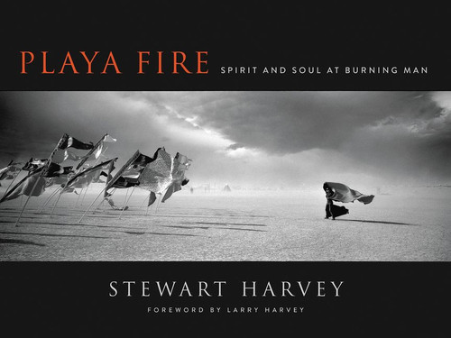 Playa Fire: Spirit and Soul at Burning Man book cover by Stewart Harvey