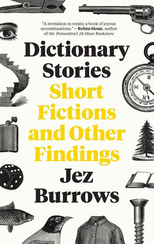 Dictionary Stories: Short Fictions and Other Findings book cover by Jez Burrows