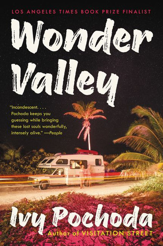 Wonder Valley: A Novel book cover by Ivy Pochoda