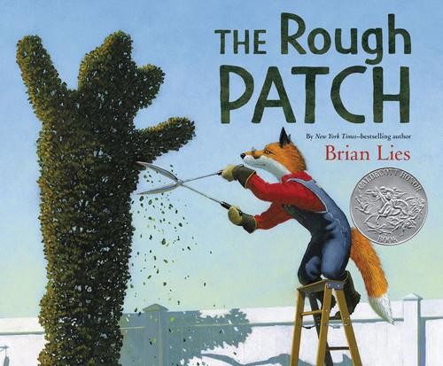 The Rough Patch: A Caldecott Honor Award Winner book cover by Brian Lies