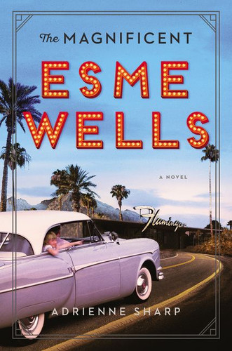 The Magnificent Esme Wells: A Novel book cover by Adrienne Sharp