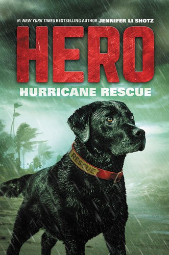 Hero: Hurricane Rescue (Hero #2) book cover by Jennifer Li Shotz