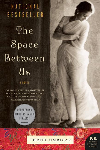 The Space Between Us: A Novel book cover by Thrity Umrigar