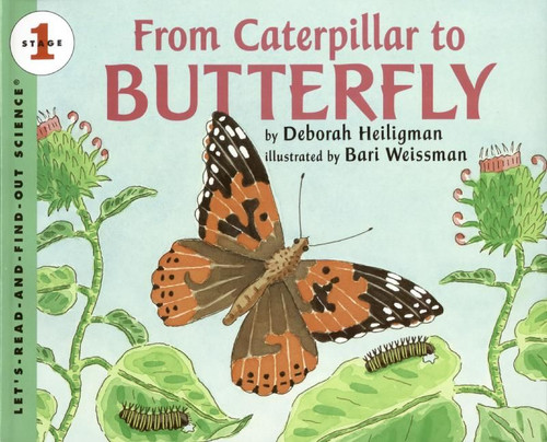 From Caterpillar to Butterfly Big Book (Let's-Read-and-Find-Out Science 1) book cover by Deborah Heiligman