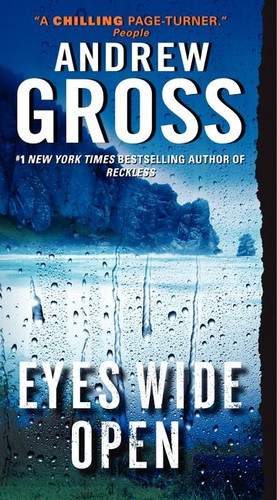 Eyes Wide Open: A Novel book cover by Andrew Gross