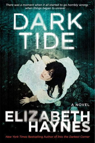 Dark Tide: A Novel book cover by Elizabeth Haynes
