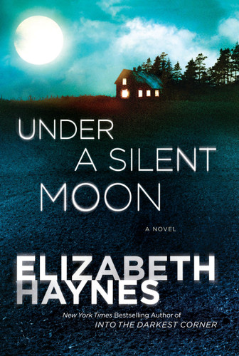 Under a Silent Moon: A Novel (Briarstone #1) book cover by Elizabeth Haynes