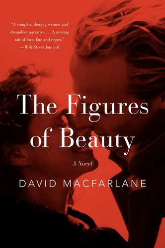 The Figures of Beauty: A Novel book cover by David Macfarlane