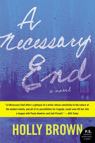 A Necessary End: A Novel book cover by Holly Brown