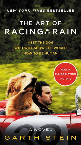 The Art of Racing in the Rain Movie Tie-in Edition: A Novel book cover by Garth Stein