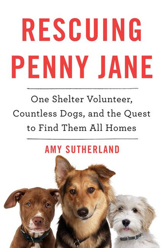 Rescuing Penny Jane: One Shelter Volunteer, Countless Dogs, and the Quest to Find Them All Homes book cover by Amy Sutherland