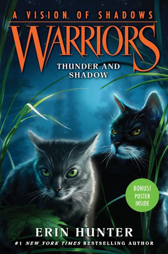 Warriors: A Vision of Shadows #2: Thunder and Shadow (Warriors: A Vision of Shadows #2) book cover by Erin Hunter