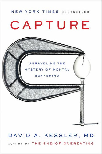 Capture: Unraveling the Mystery of Mental Suffering book cover by David A. Kessler, M.D.