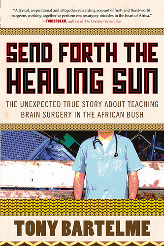 Send Forth The Healing Sun book cover by Tony Bartelme, Carin Hoek-Ellegala