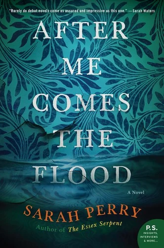 After Me Comes the Flood: A Novel book cover by Sarah Perry