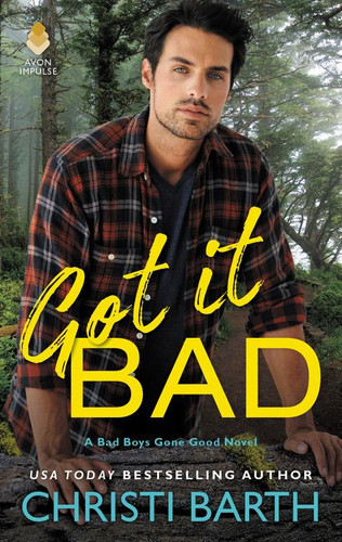 Got it Bad: A Bad Boys Gone Good Novel (Bad Boys Gone Good #3) book cover by Christi Barth