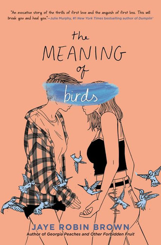 The Meaning of Birds book cover by Jaye Robin Brown
