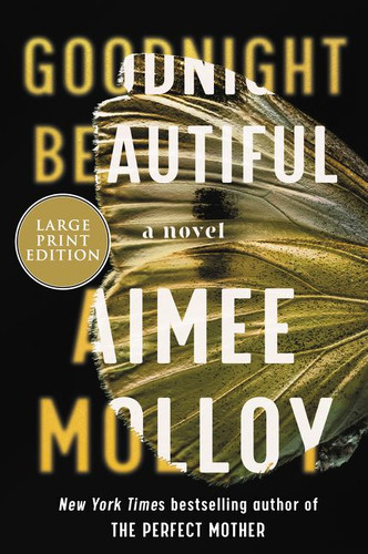 Goodnight Beautiful: A Novel book cover by Aimee Molloy