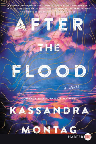 After the Flood: A Novel book cover by Kassandra Montag