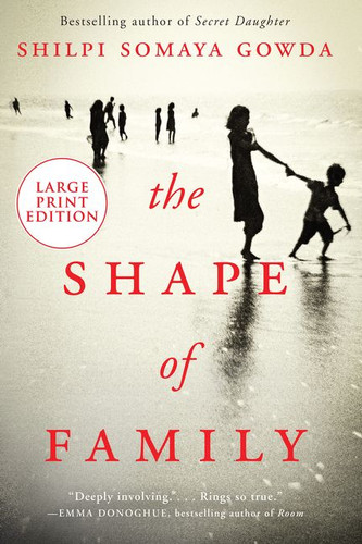 The Shape of Family: A Novel book cover by Shilpi Somaya Gowda