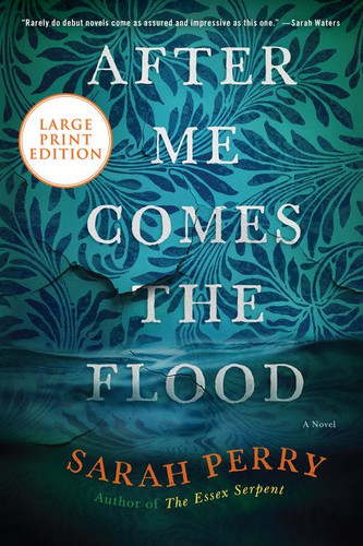 After Me Comes the Flood: A Novel book cover by Sarah Perry
