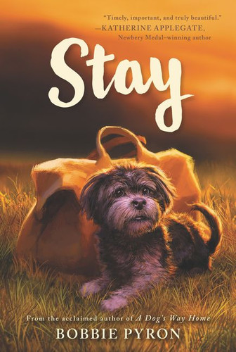 Stay book cover by Bobbie Pyron