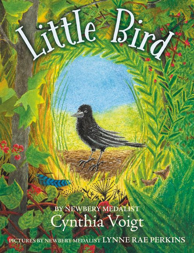 Little Bird book cover by Cynthia Voigt