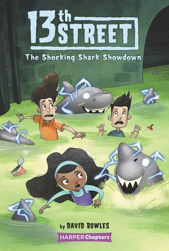 13th Street #4: The Shocking Shark Showdown (13th Street #4) book cover by David Bowles