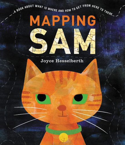 Mapping Sam book cover by Joyce Hesselberth