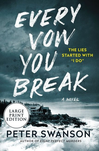 Every Vow You Break: A Novel book cover by Peter Swanson